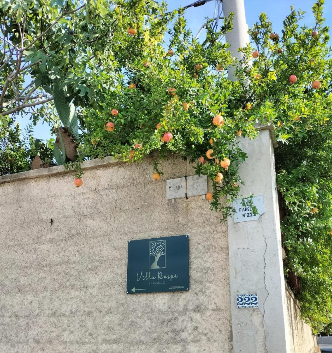 Villa Rospi Bari Extérieur photo